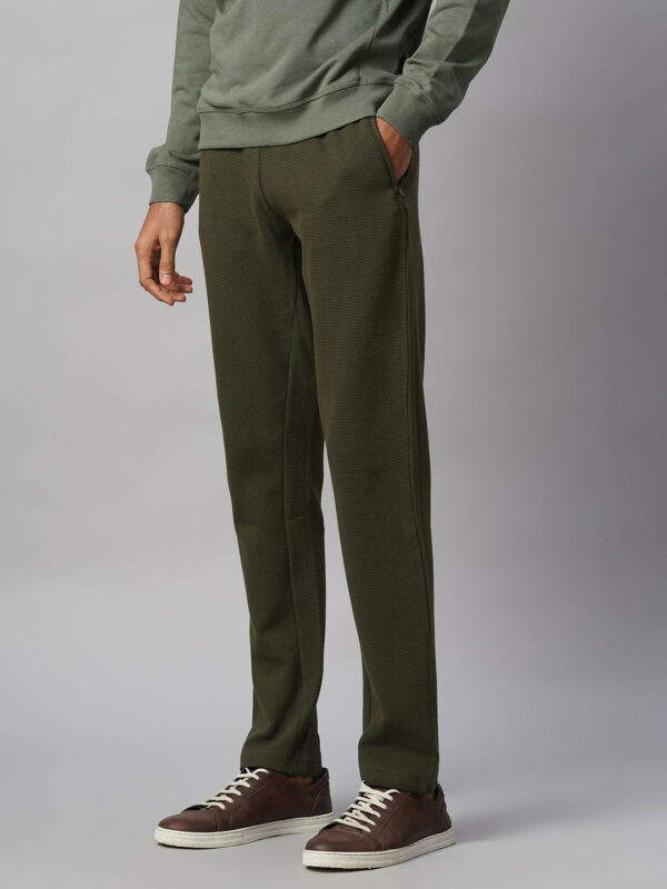 Men's Green 100% Cotton Regular Fit Knit pant