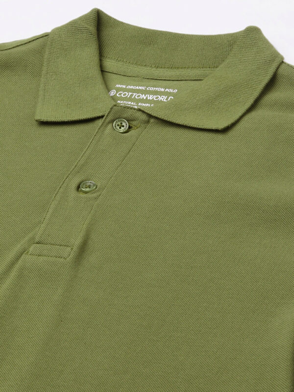 Men's Green Cotton Regular Fit Tshirt