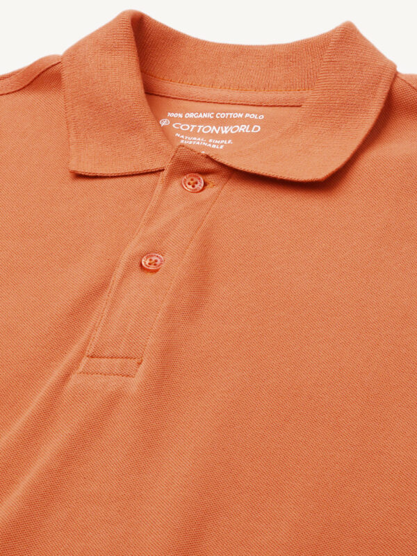 Men's Rust Cotton Regular Fit Tshirt