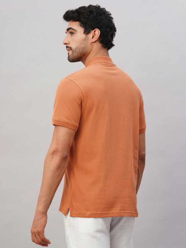 Men's Rust Cotton Regular Fit Tshirt