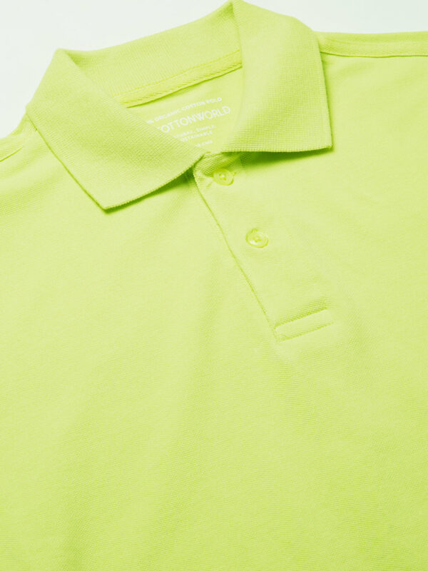 Men's Green 100% Cotton Regular Fit Tshirt